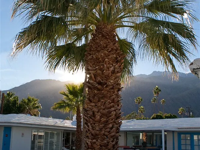 Palm Springs Rendezvous